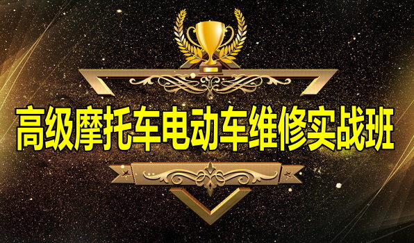 �߼�Ħ�г��綯��ά����ѵ��